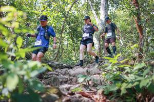 BIB: 
                            <button type="button" onclick="openModal(27701943)" class="btn btn-primary btn-sm float-right btn-popup" data-toggle="modal" data-target=".modal-high-quality">
                        <i class="fas fa-shopping-cart"></i> Add to Cart
                    </button>
                                            <button type="button" onclick="isThisMe(27701943, true)" class="btn btn-success btn-sm float-right btn-popup btn-isme hidden" data-toggle="tooltip" data-placement="bottom" title="นี่คือรูปของคุณใช่ไหม คลิกที่นี่เพื่อเอาเข้าอัลบั้ม">
                        <i class="fas fa-plus"></i> Add to album
                    </button>
                    <button type="button" onclick="isThisMe(27701943, false)" class="btn btn-warning btn-sm float-right btn-popup btn-isnotme hidden">
                        <i class="fas fa-ban"></i> Remove from album
                    </button>